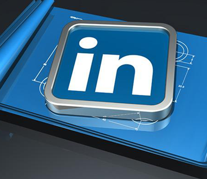 ANSE online advertising on a computer network-LinkedIn ADs